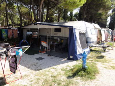 Camp Polari